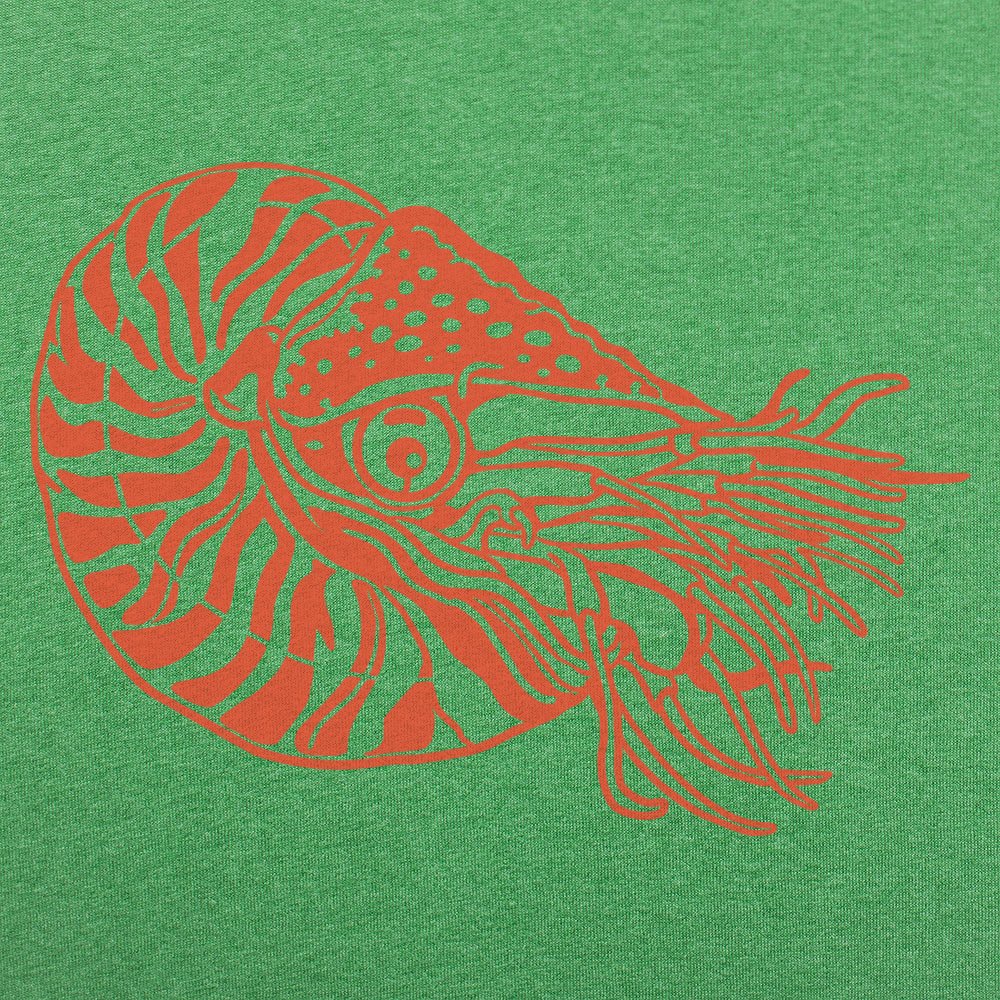 Nautilus
