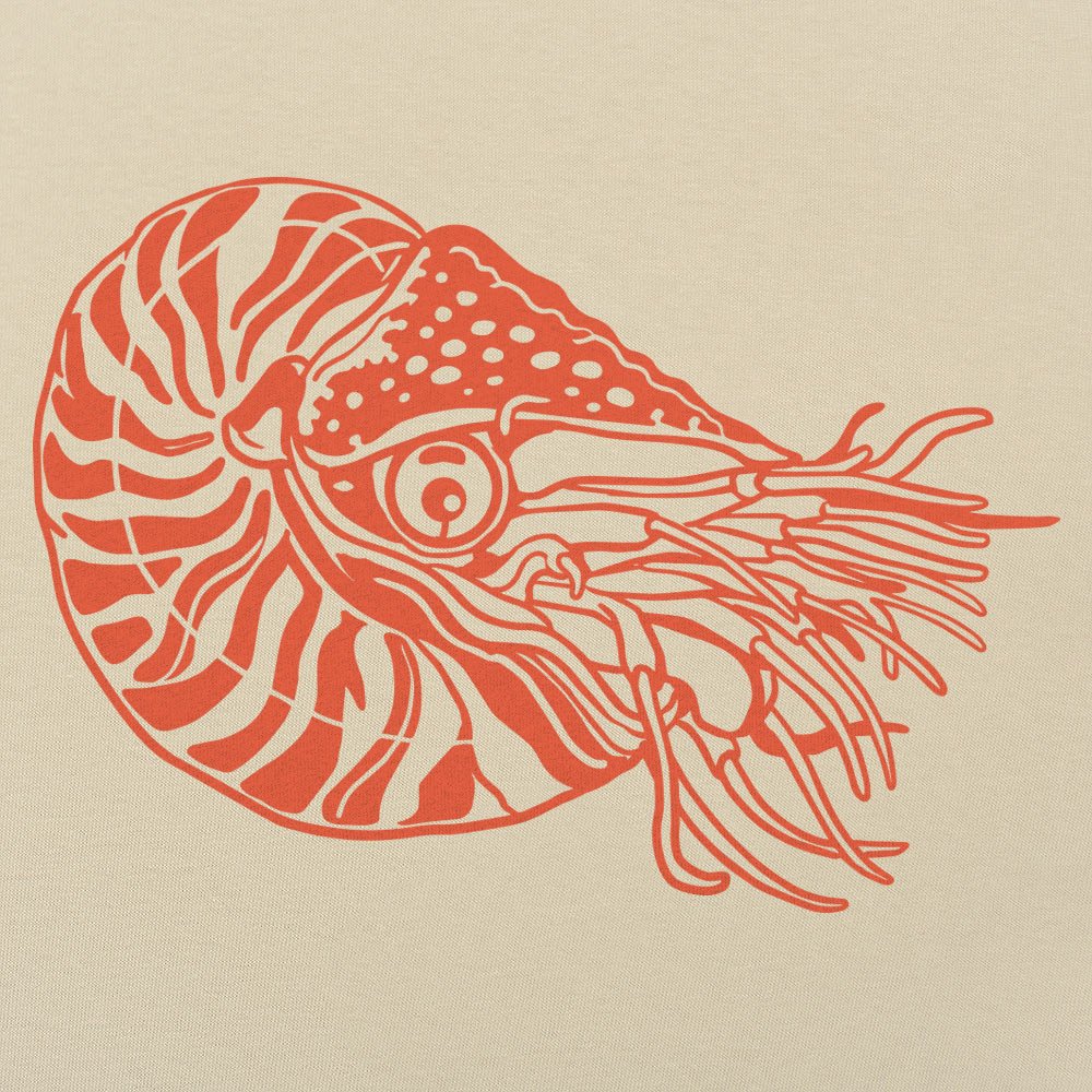Nautilus