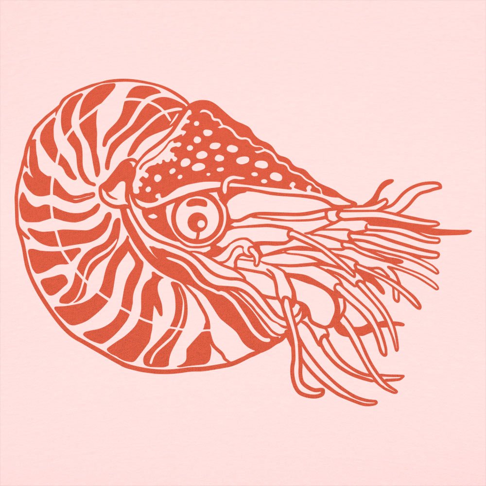 Nautilus