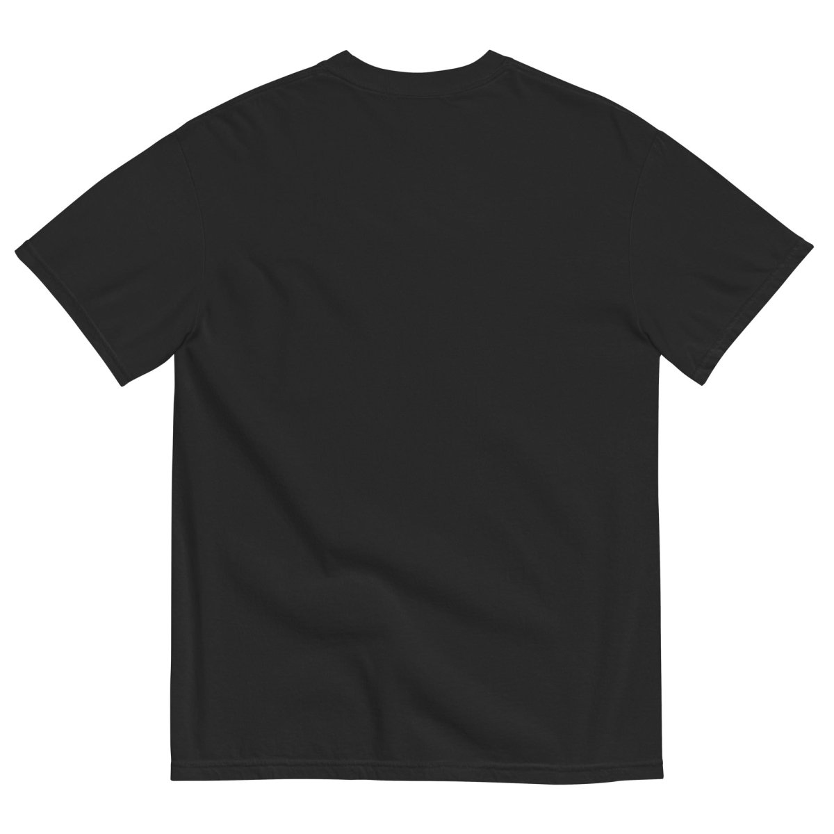 No Kings No Tyrants Black Tshirt Hoodie, Sweatshirt | InkThreadWorks.com (Image 2)