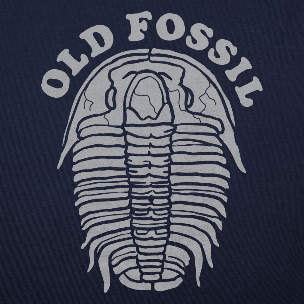 Old Fossil
