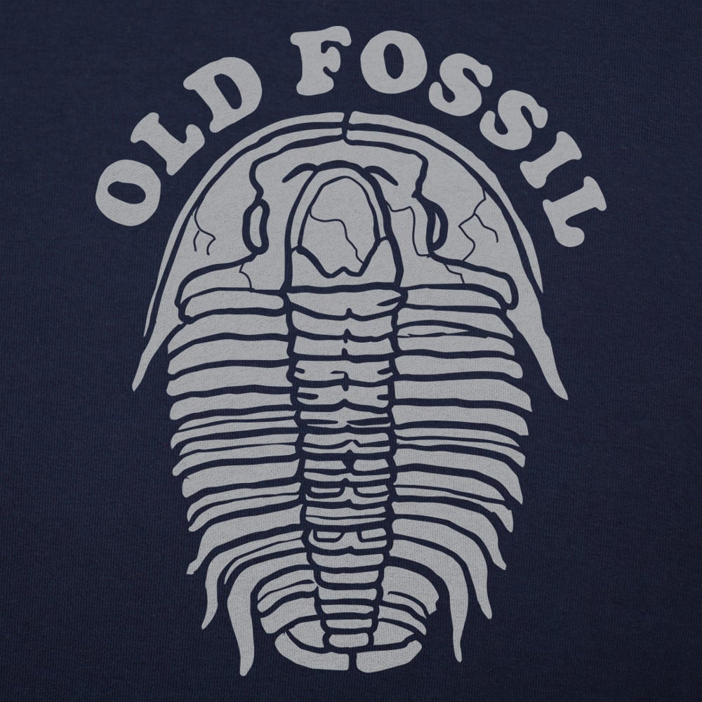 Old Fossil