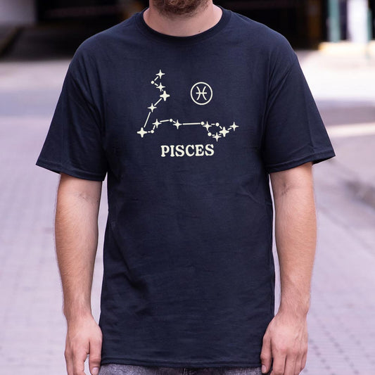 Pisces Constellation