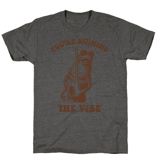 You Are Ruining the Vibe Unisex Triblend Tee