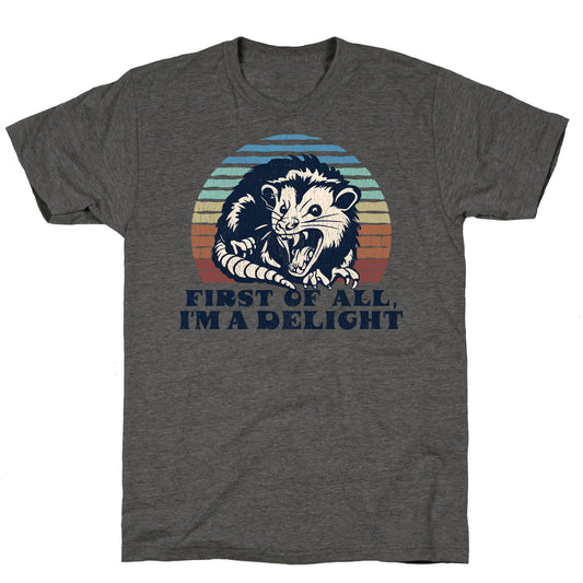Delightful Unhinged Possum Unisex Triblend Tee