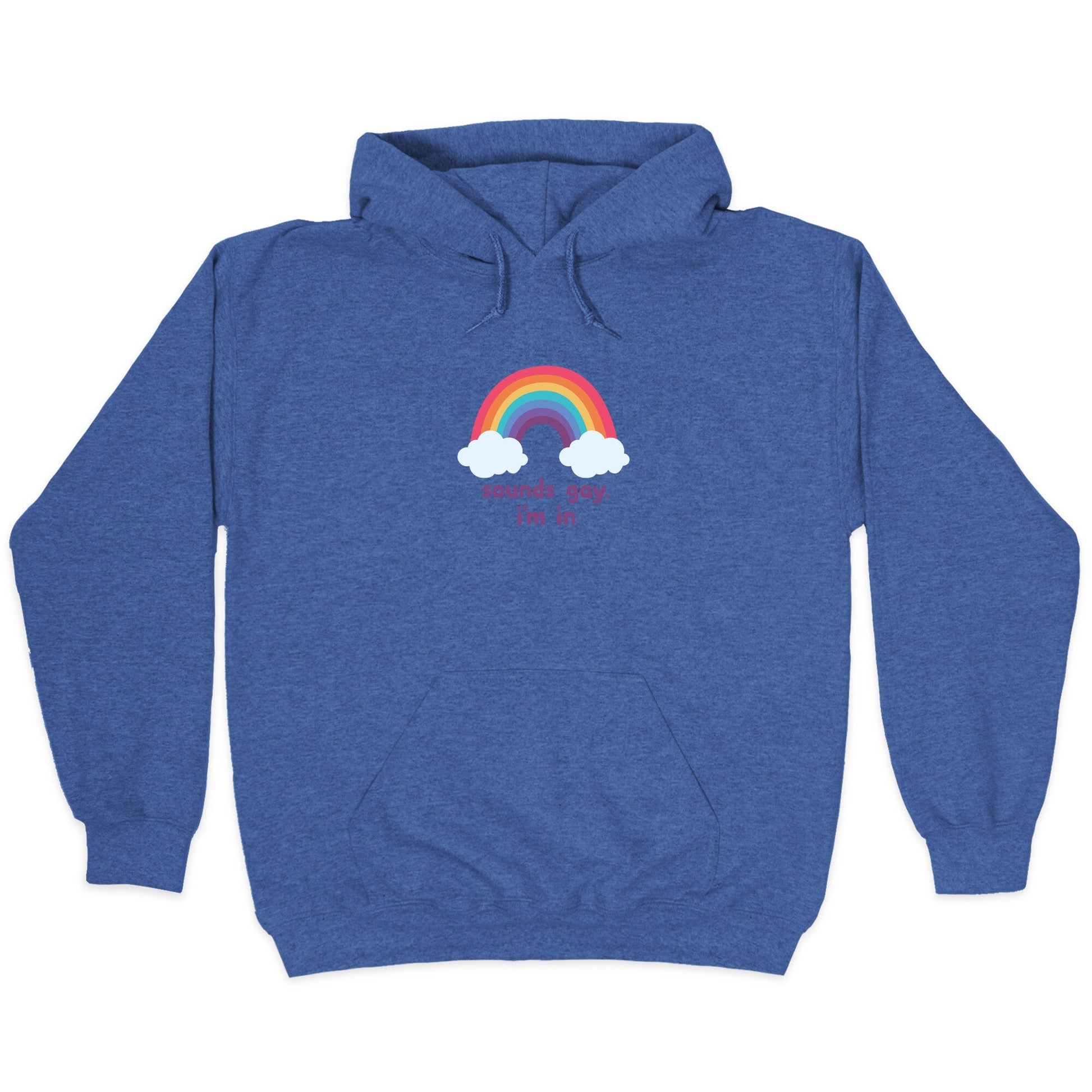Sounds Gay, Im In Hoodie