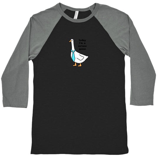 Today Im A Serious Goose Baseball Tee