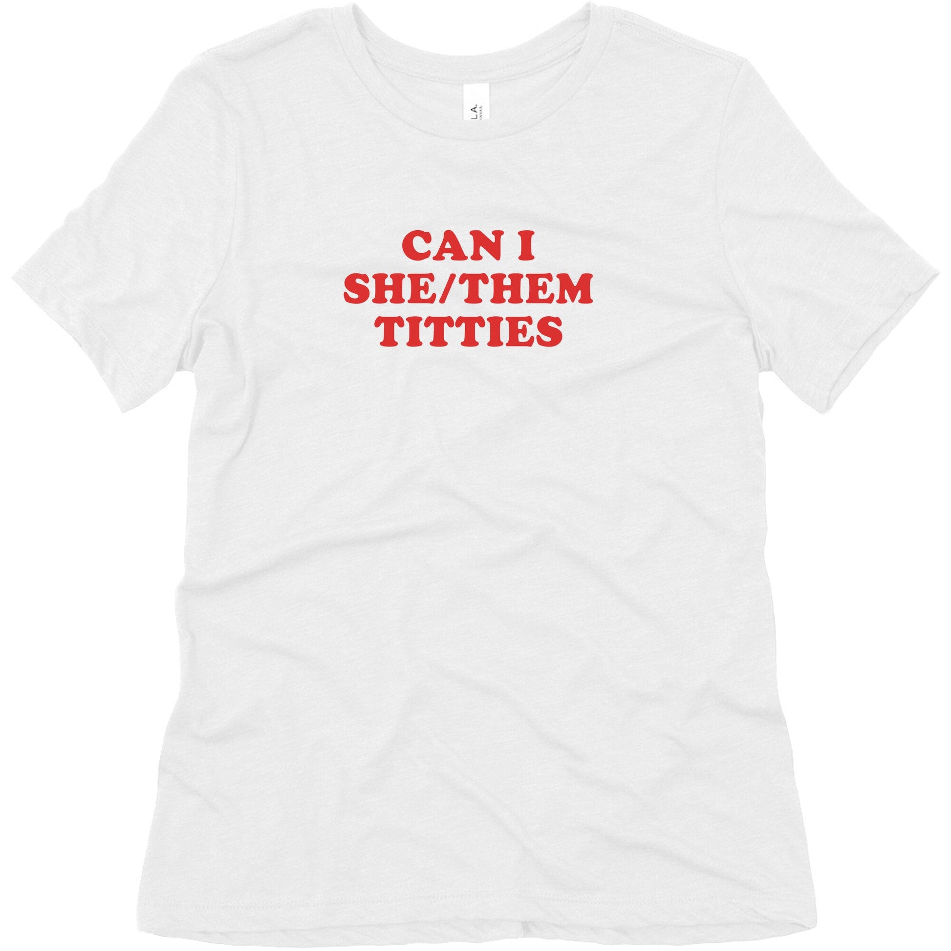 Can I She/Them Titties? Womens Relaxed Fit Triblend Tee