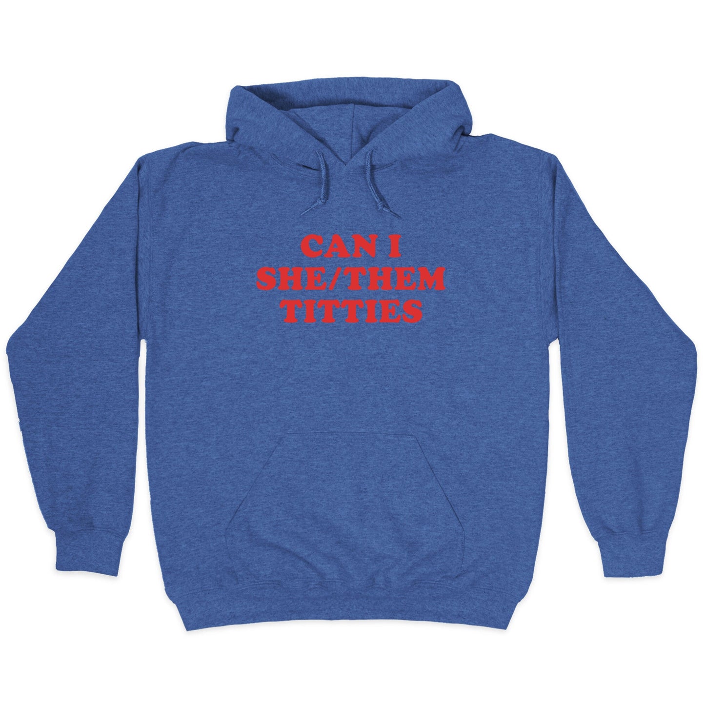 Can I She/Them Titties? Hoodie