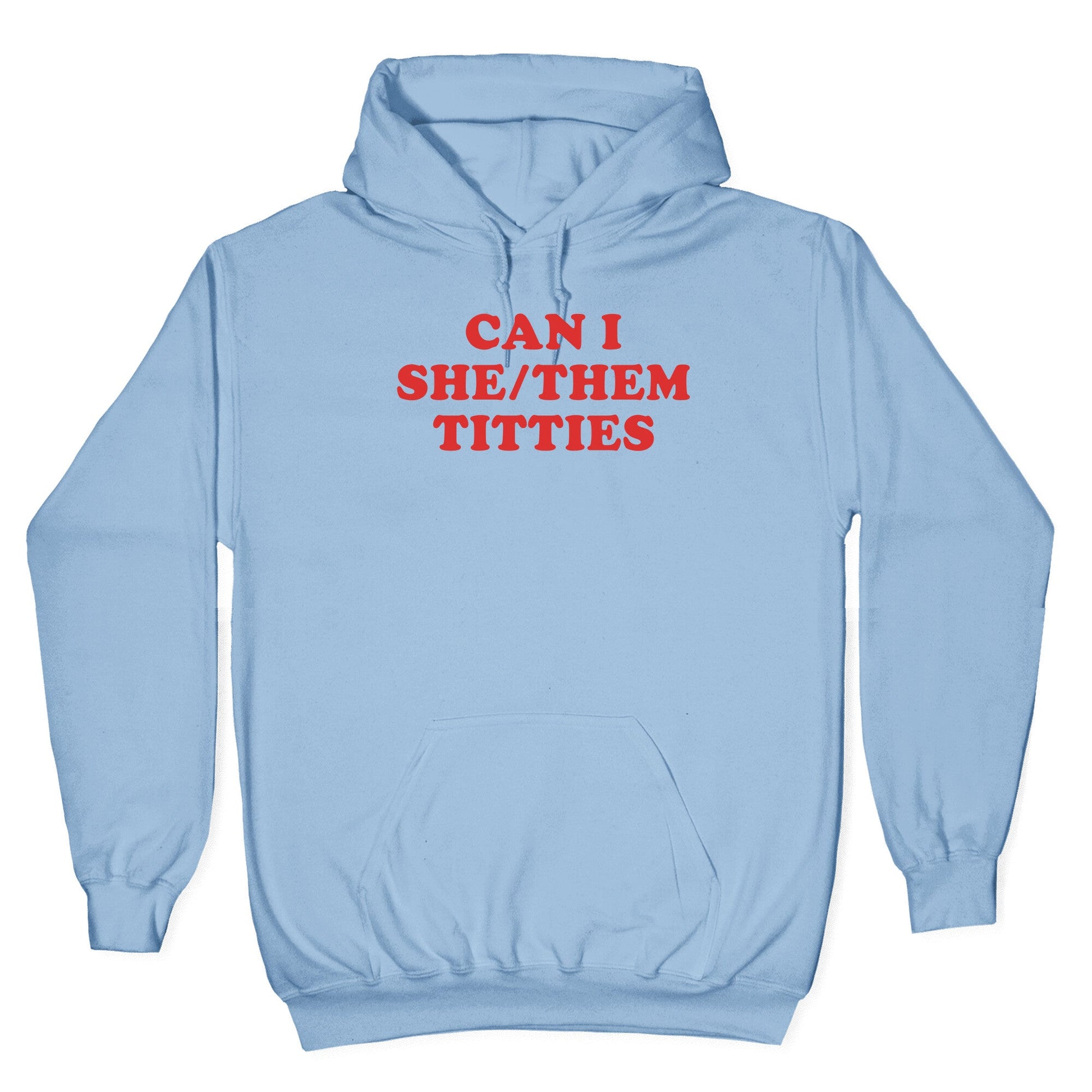 Can I She/Them Titties? Hoodie
