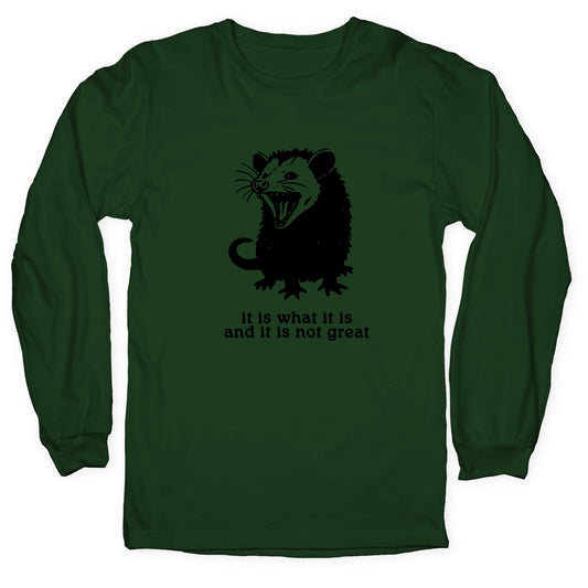 It Is What It Is Longsleeve Tee