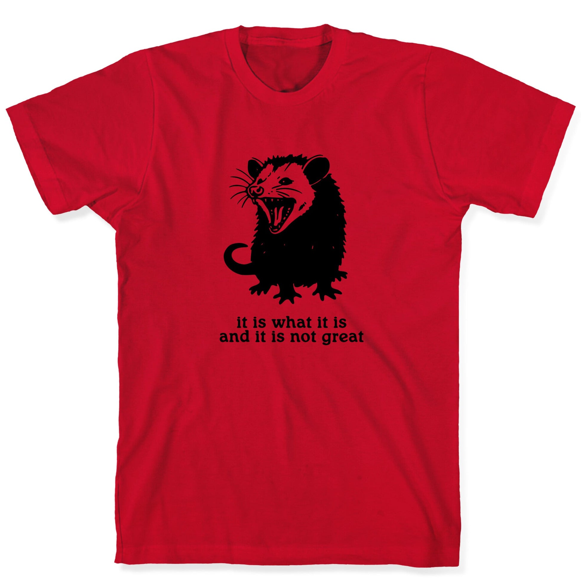 It Is What It Is T-Shirt