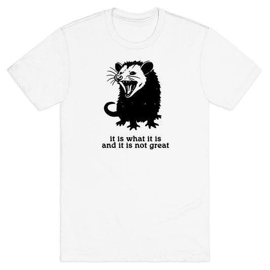 It Is What It Is T-Shirt