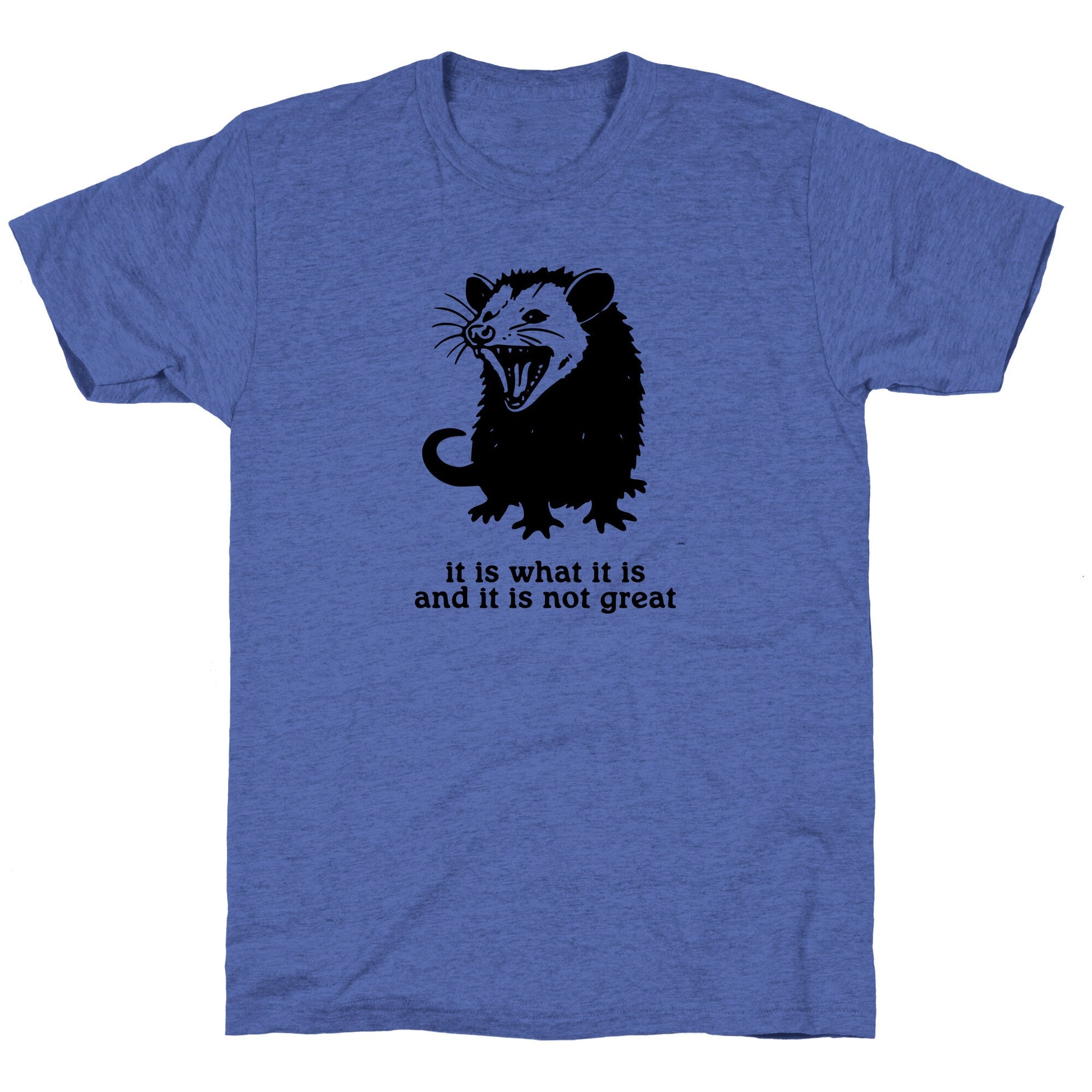 It Is What It Is Unisex Triblend Tee