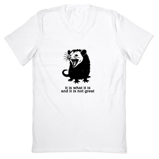 It Is What It Is V-Neck