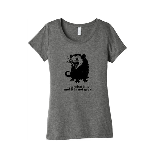 It Is What It Is Womens Triblend Tee
