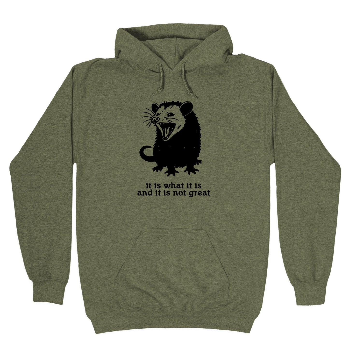 It Is What It Is Hoodie