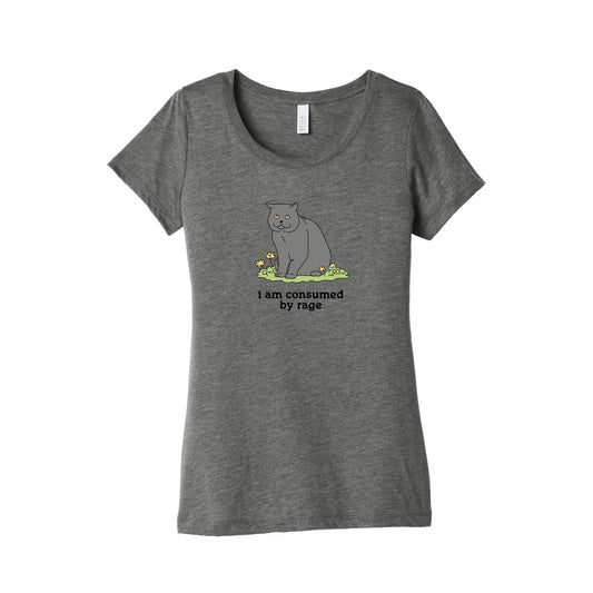 Consumed By Rage Womens Triblend Tee