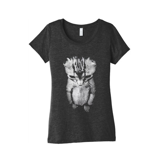 Sad Little Cat Womens Triblend Tee