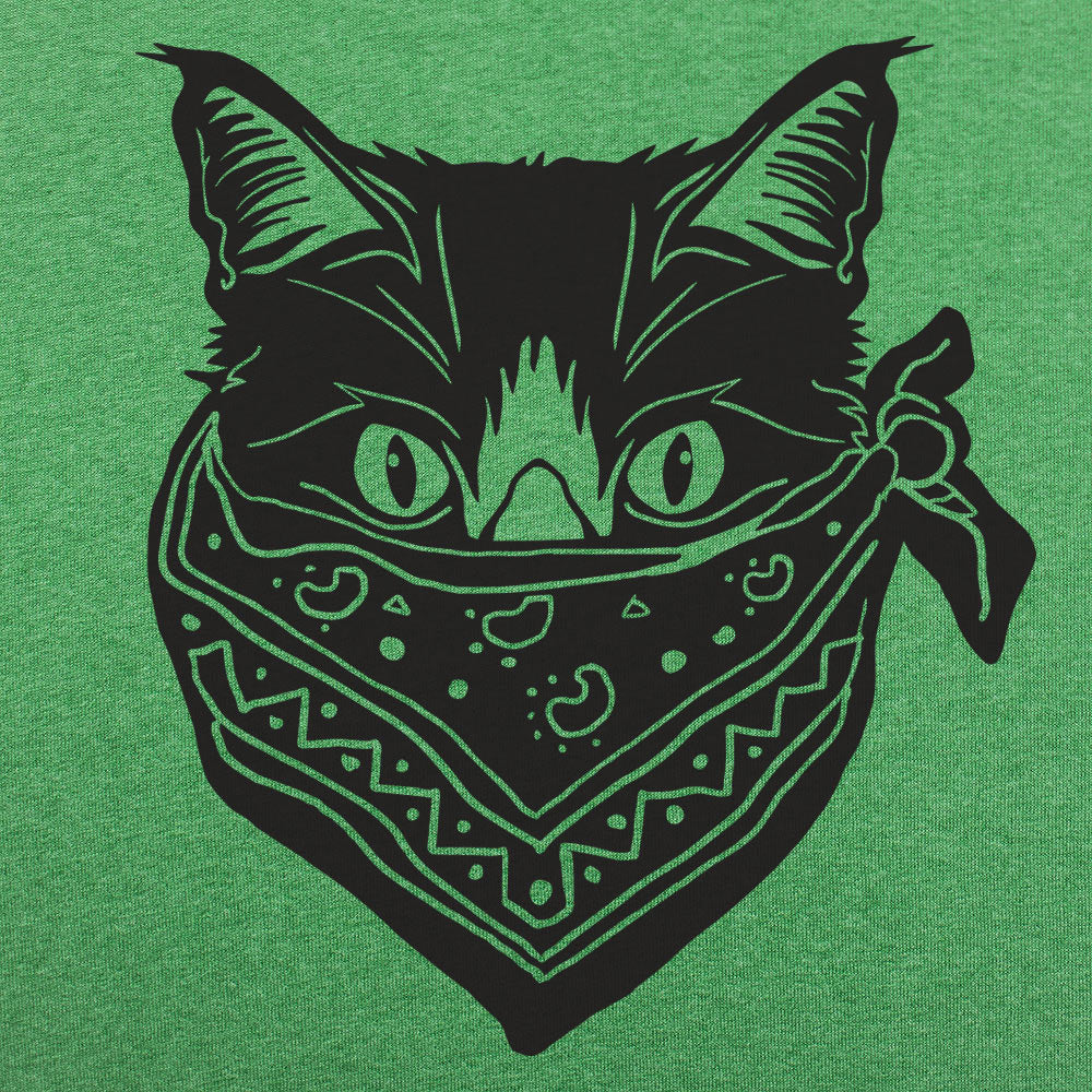 Quarantine Cat