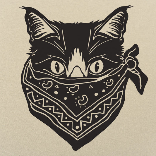 Quarantine Cat