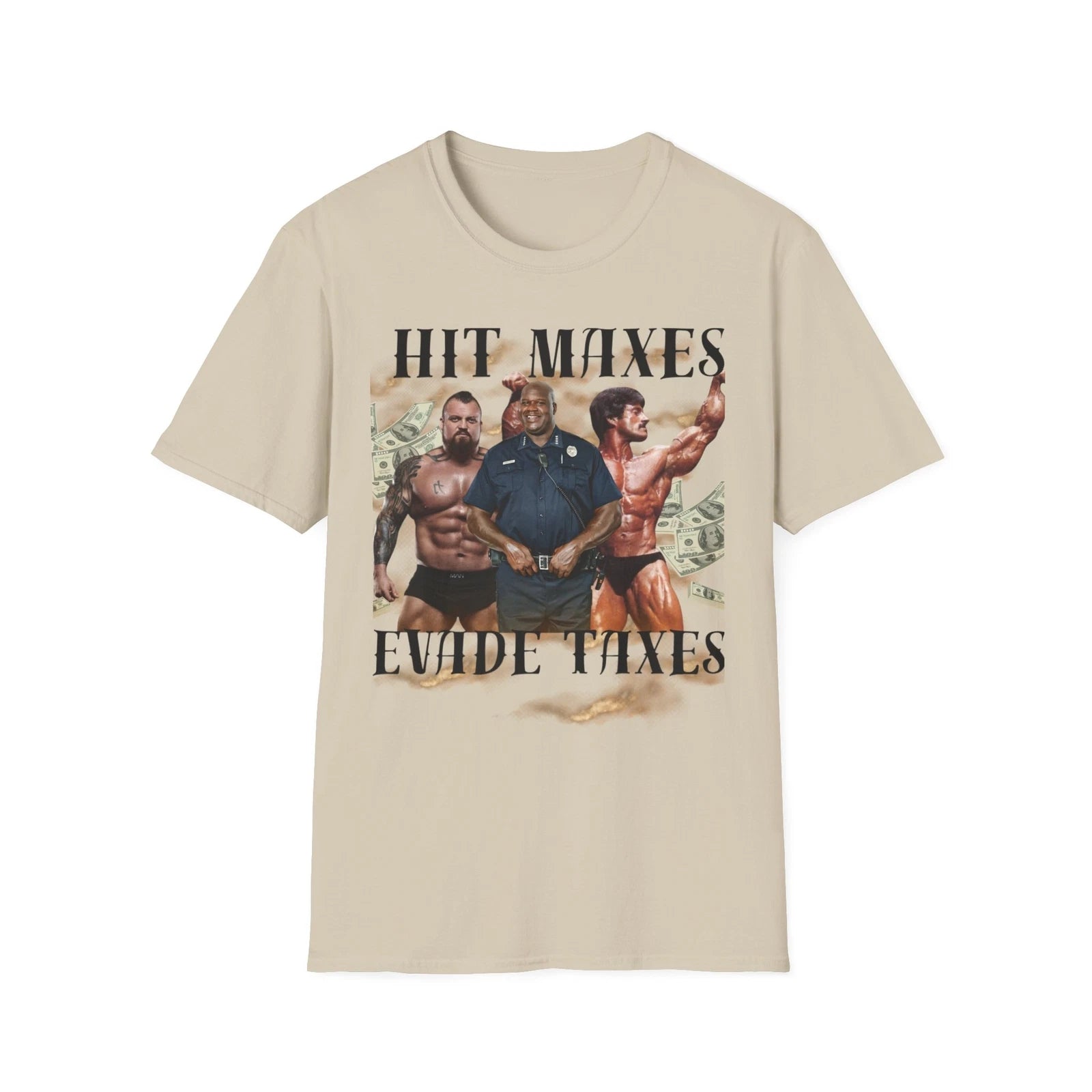 Hit Maxes Evade Taxes Shirt.