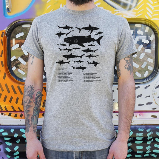 Shark Chart