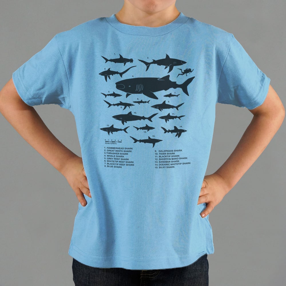 Shark Chart