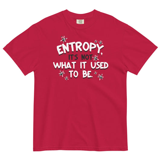 Entropy, It's Not What It Used To Be Men's Relaxed Fit Tee