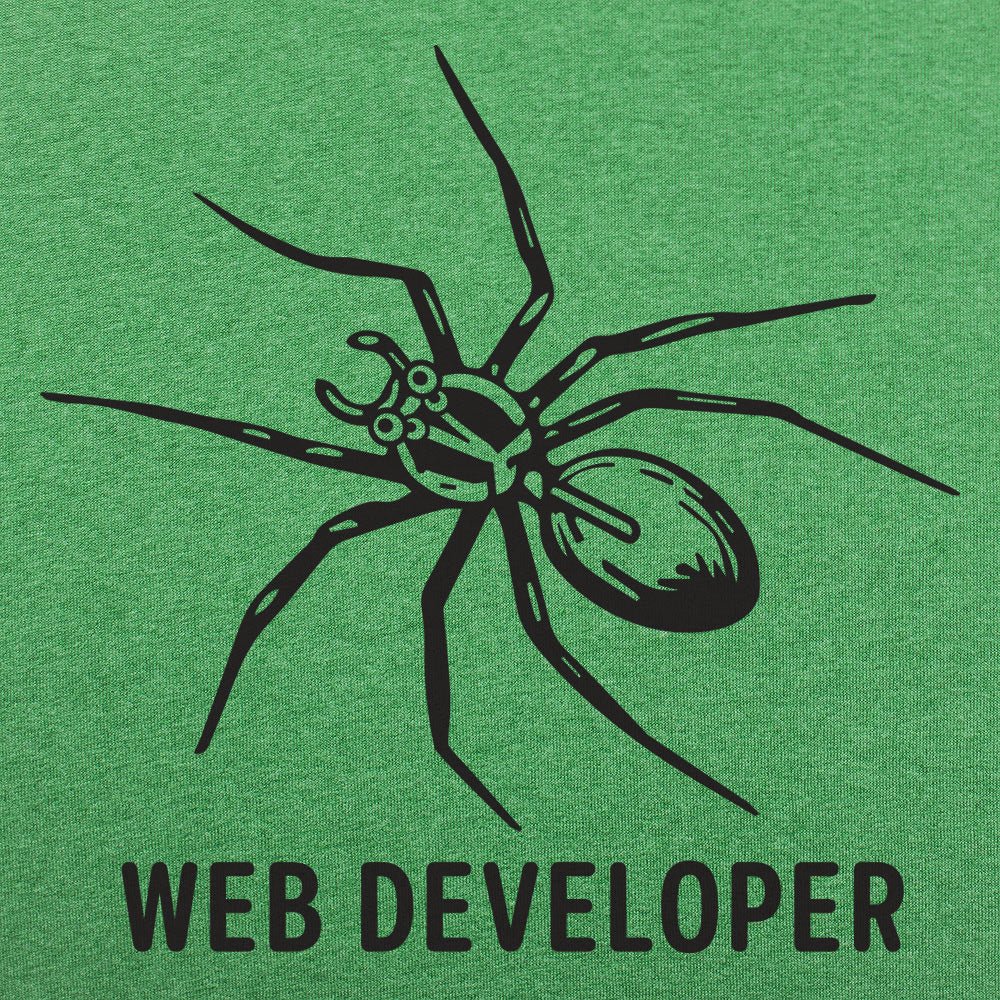 Web Developer